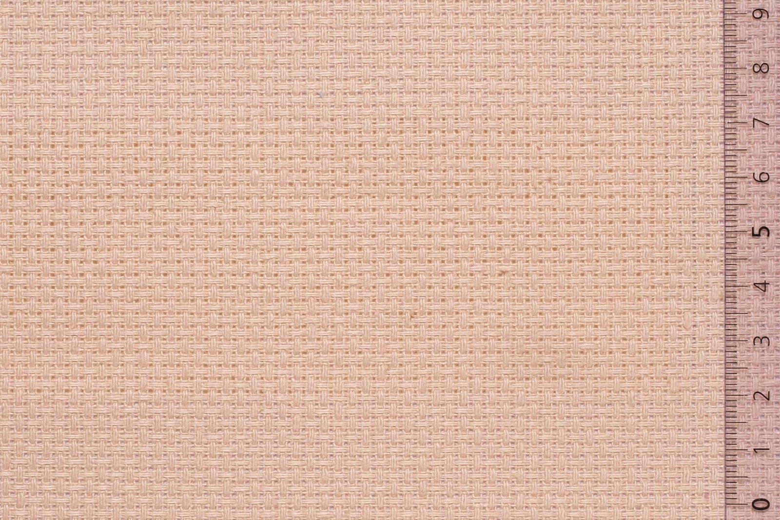 06AID40BSAxxxCOT[AIDAMAS 40](BABY SALMON)F